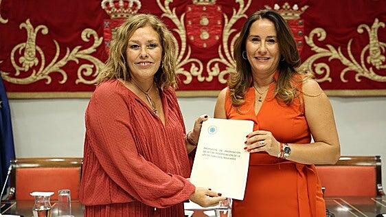 Los cabildos «se hacen mayores» con la nueva ley que debatirá el Parlamento en junio