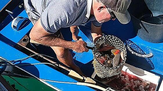 Puerto del Rosario tendrá una lonja de pescadores