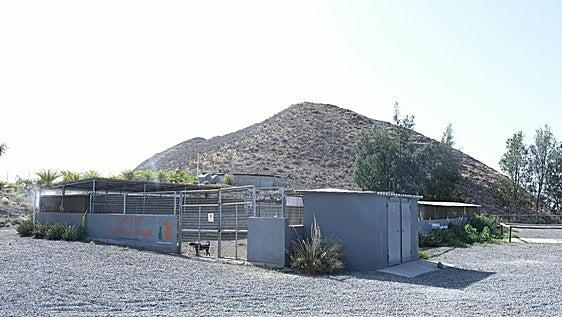 APAC se moviliza tras su expulsión del albergue de animales de Santa Lucía