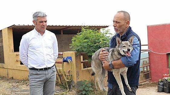 El lobito herreño, más cerca de ser declarado raza autóctona de Canarias