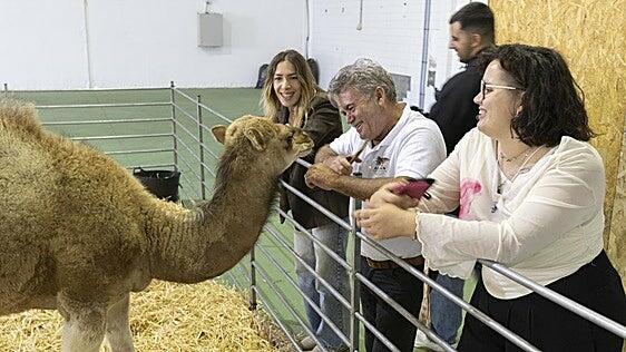 Feria agrícola, marinera y pesquera en Teguise
