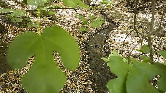 Turcón solicita al Cabildo el arreglo y puesta en uso del camino del cauce del barranco de Los Cernícalos