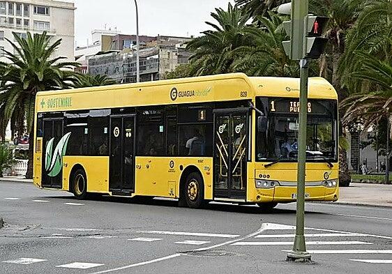 Guaguas Municipales refuerza sus líneas para la visita del papa León XIV a Gran Canaria