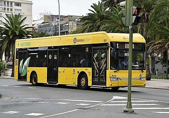 Guaguas Municipales refuerza sus líneas para la visita del papa León XIV a Gran Canaria