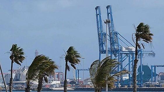 La Aemet advierte: las rachas de viento pueden alcanzar los 80 km/h