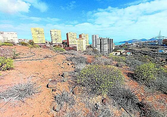 Hoteles para insectos invitan a abejas, avispas, hormigas, moscas y depredadores al corredor verde de Las Palmas de Gran Canaria