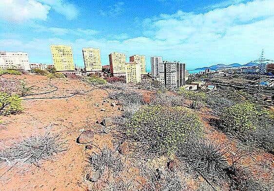 Hoteles para insectos invitan a abejas, avispas, hormigas, moscas y depredadores al corredor verde de Las Palmas de Gran Canaria