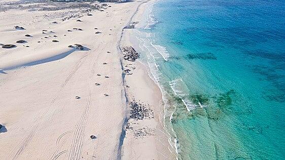 Corona sitúa Grandes Playas de Corralejo entre las mejores playas del mundo en su Beach 100 2026