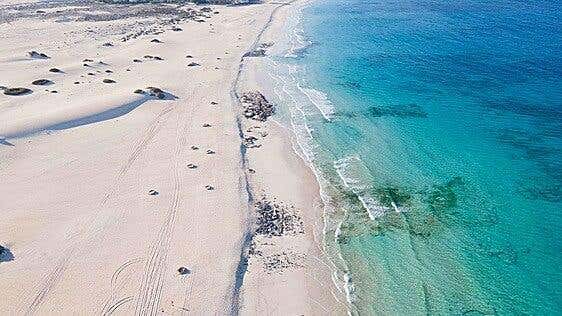 Corona sitúa Grandes Playas de Corralejo entre las mejores playas del mundo en su Beach 100 2026
