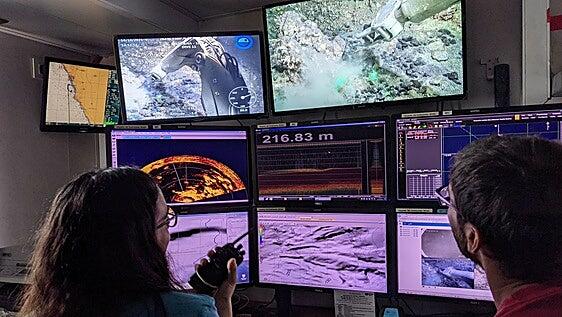 Los secretos del fondo marino canario: científicos cartografían montes submarinos y hallan una gran riqueza biológica
