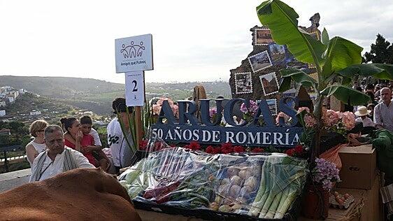 Arucas celebra medio siglo de romería con una multitudinaria ofrenda a San Juan Bautista