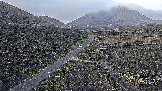 2,8 millones de euros para la viña insular, por los efectos de la sequía en 2025