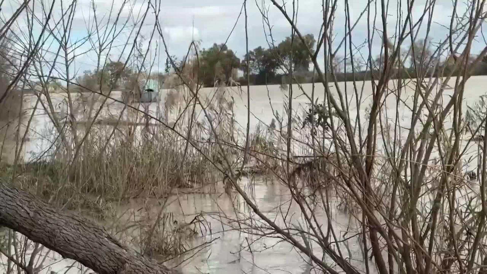 El Guadalquivir alcanza casi 3.000 m³ en Lora del Río con embalses en alerta roja.
