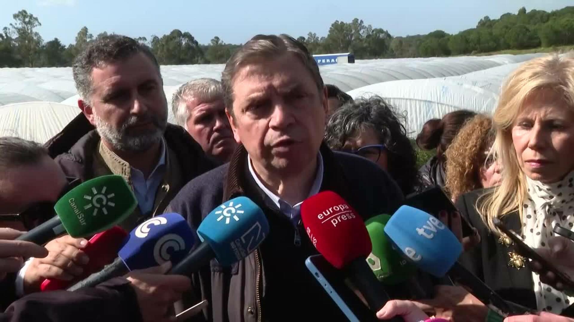 Planas pide a la UE movilizar la reserva agrícola para el campo andaluz