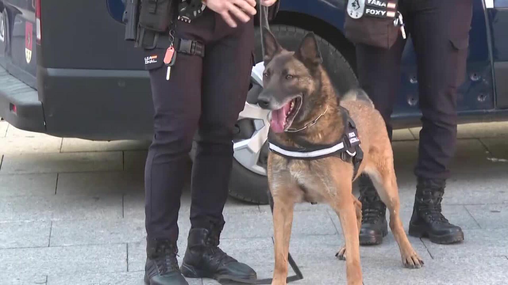 La Policía tramitó 26 expedientes por acoso sexual en los últimos tres años