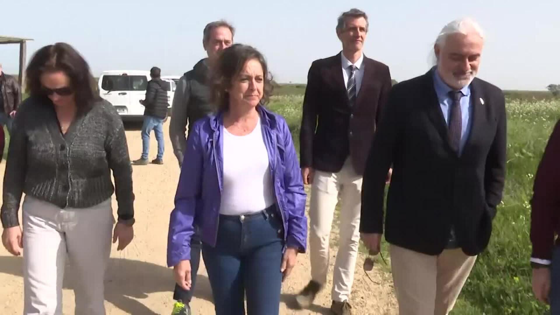 Junta convierte Veta la Palma y Tierras Bajas en un laboratorio europeo para la biodiversidad