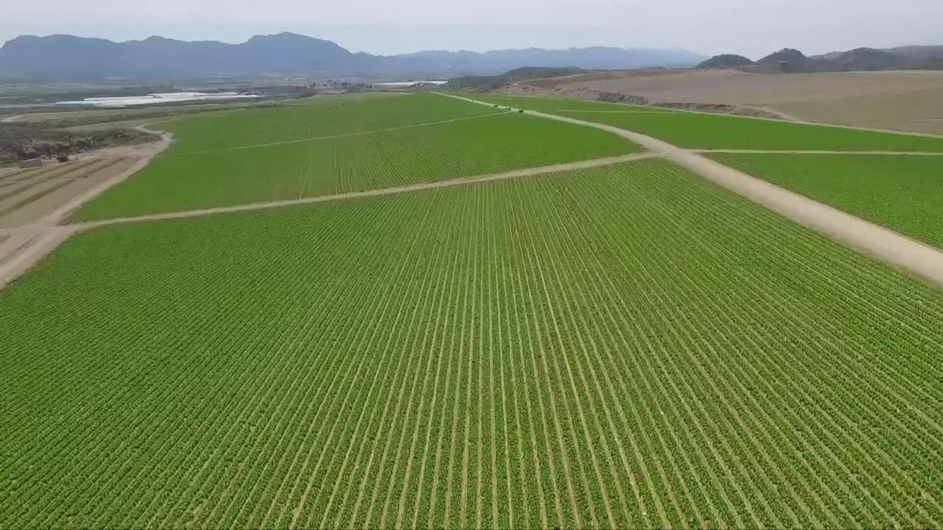 Representantes del sector agrario abordan el reto de la sostenibilidad en el campo