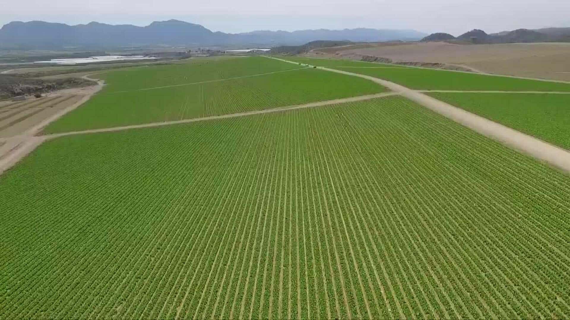 Representantes del sector agrario abordan el reto de la sostenibilidad en el campo