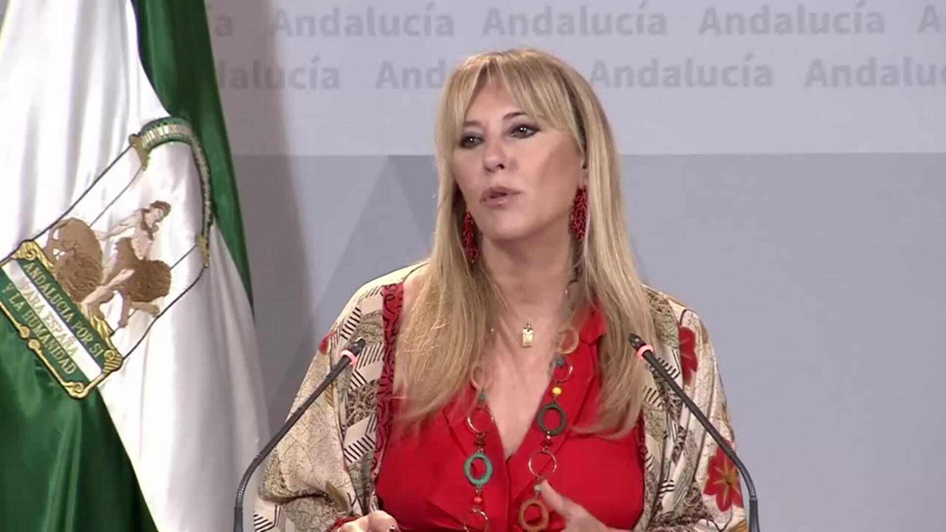 La Junta de Andalucía dice que la negociación con Vox va "por buen camino"