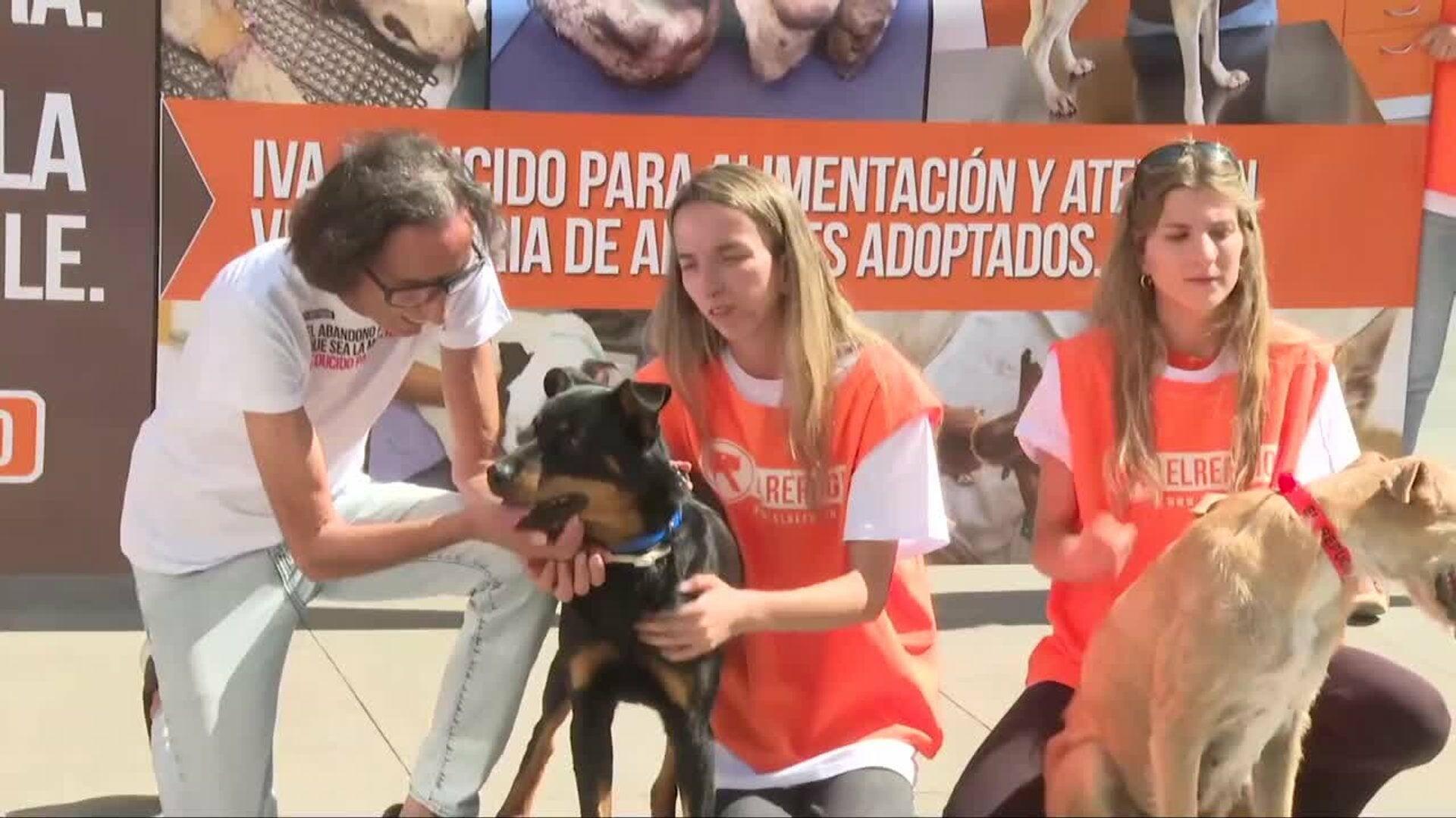 Protectora El Refugio propone reducir el IVA en cuidados y veterinario para animales adoptados