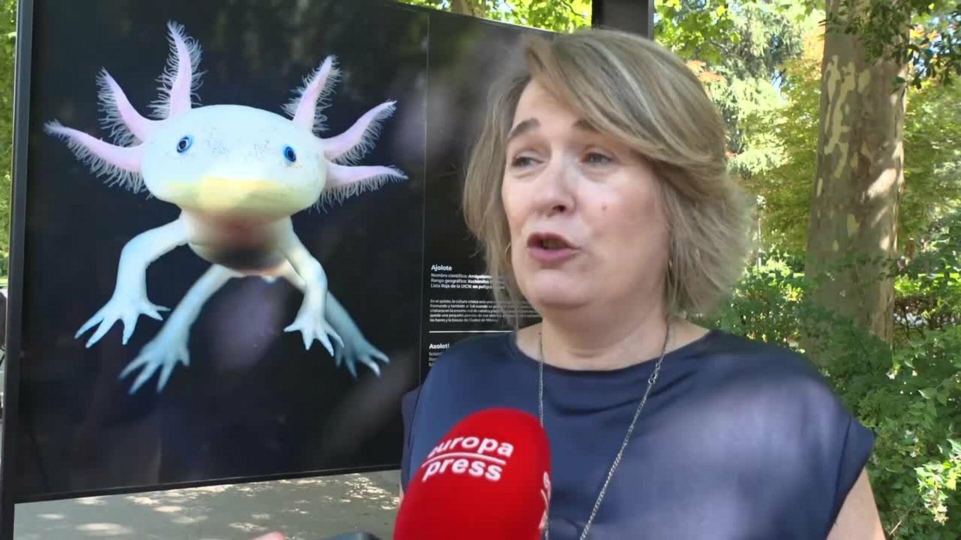 El fotógrafo de animales Tim Flach llega a Madrid con una exposición sobre especies amenazadas