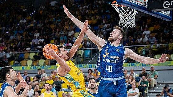 El CB Gran Canaria espera la decisión del Burgos con Luke Fischer