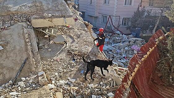 España envía 54 militares de la UME a Venezuela tras los terremotos
