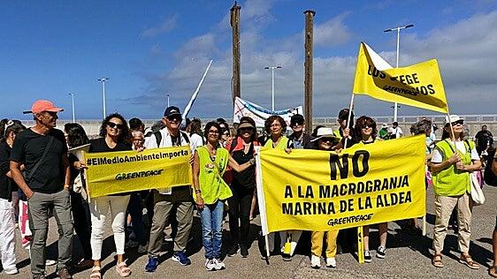 Greenpeace celebra el rechazo del Cabildo al proyecto de macrogranja marina en el litoral de La Aldea