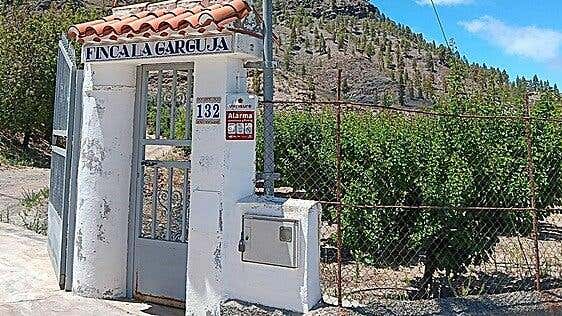 El albaricoque repunta y llega a los 25.000 kilos