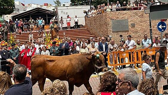 Ingenio reúne a más de 250 animales en la feria de ganado por San Pedro y San Pablo