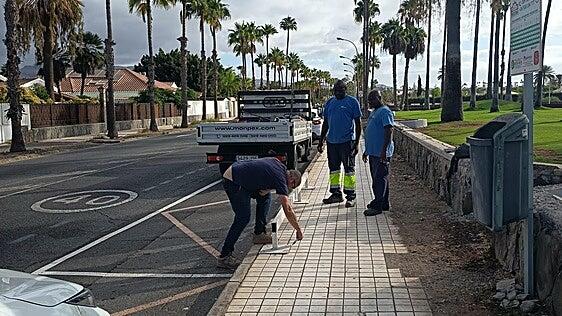 San Bartolomé de Tirajana inicia la instalación de las nuevas marquesinas para el transporte público