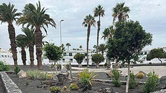 Sombra y plantas para la plaza de Cruz Roja en Puerto del Carmen